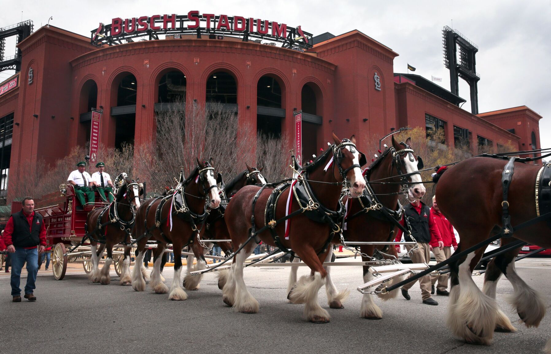Cardinals open their season at Busch